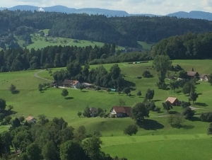 Vom Sood gegen Berg