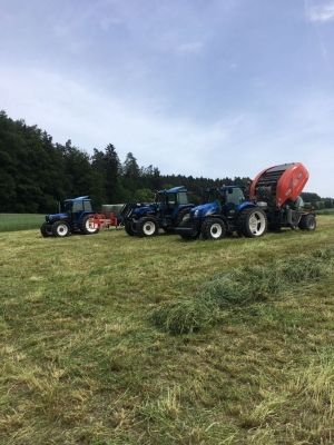 Oberkulmer Rundballen