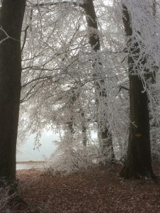 Richtung Schneckenacker-2