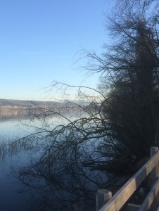 Hallwilersee-3