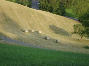 Heuballen Sennhoger